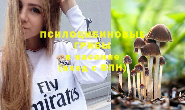 spice Горнозаводск