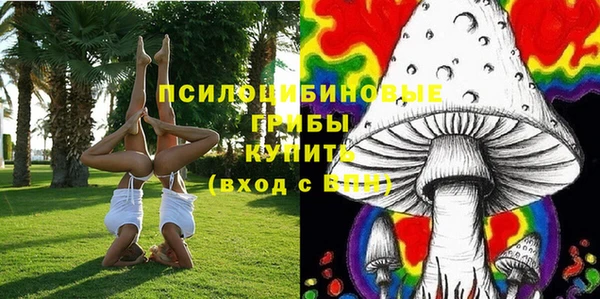 тгк Горняк