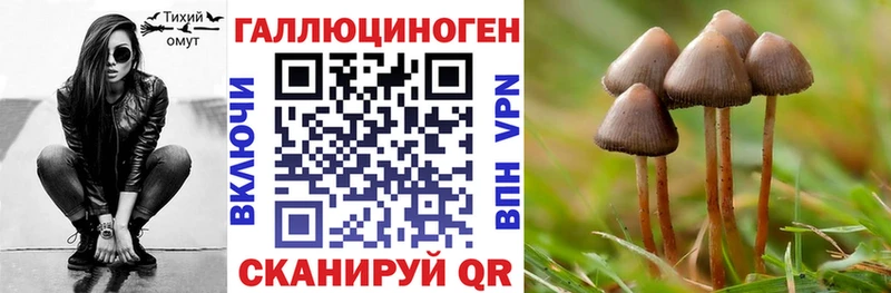 Купить где  Пошехонье  Галлюциногенные грибы ЛСД 